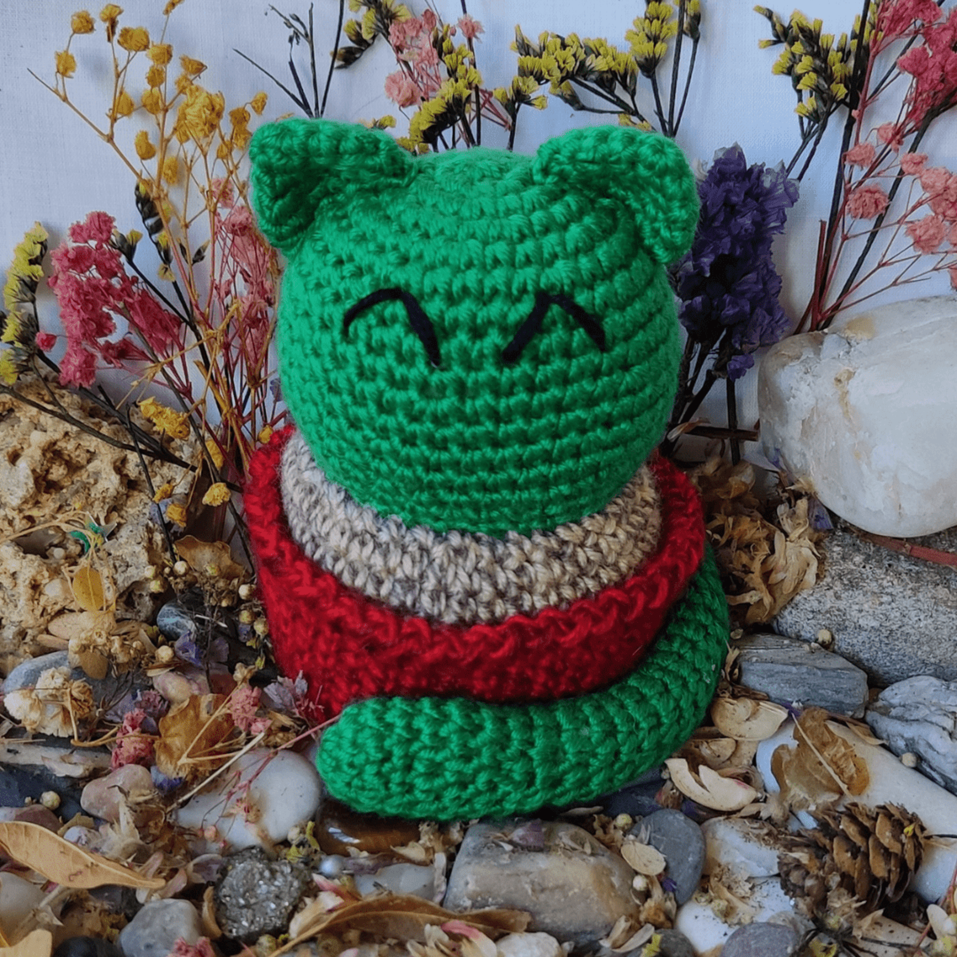 Miau Cactus - 3