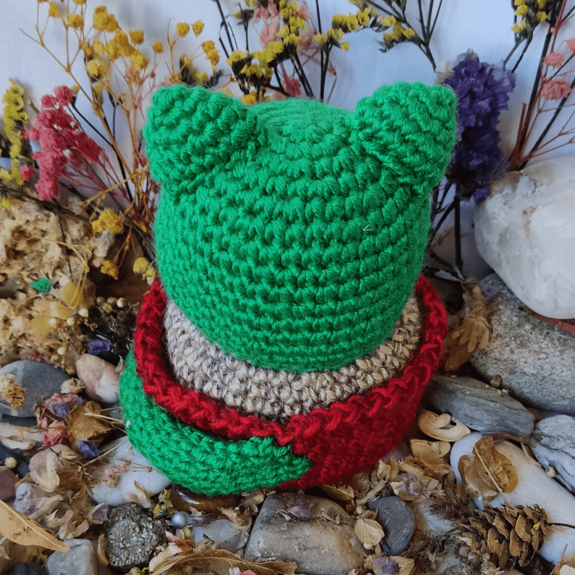 Miau Cactus - 2